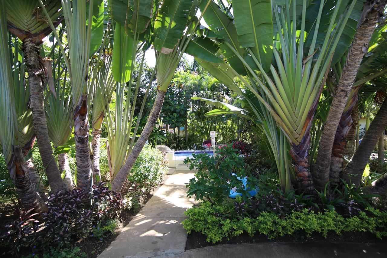 فندق Coco La Palm نيغريل المظهر الخارجي الصورة